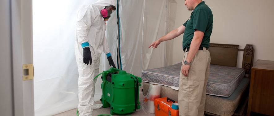 Grand Prairie, TX mold removal process